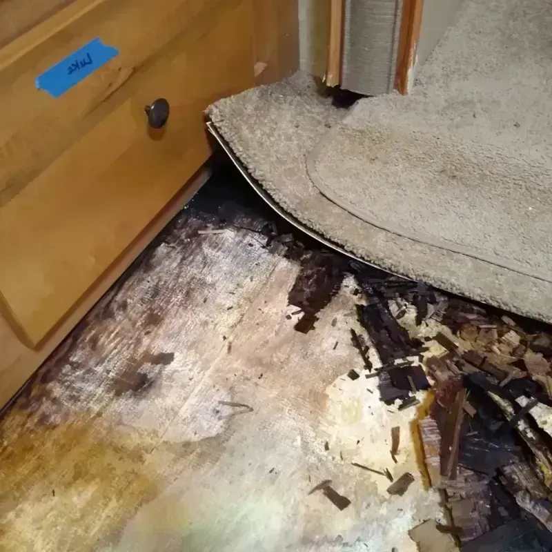 Best Wood Floor Water Damage Service in Palm Aire, FL